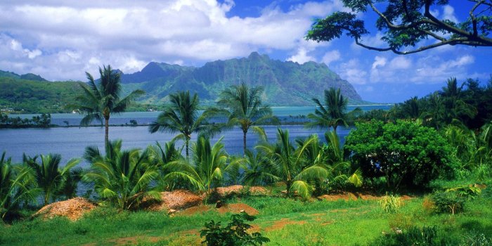 1920x1080 images about Nature wallpaper Beautiful 1920x1080