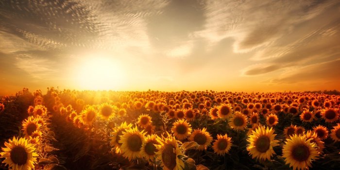 2048x1421 Nature » Nature Iphone 6 Wallpaper Tumblr - HD Wallpaper for Desktop