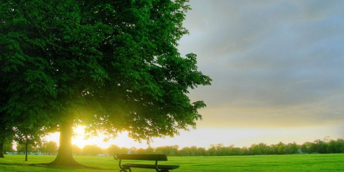 1024x768 desktop nature wallpaper Gallery (78+ images)