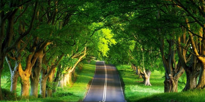 1920x1080 Nature Hd Wallpaper (28+ images) on Genchi.info