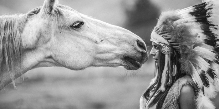 2000x1333 Cute Horse Wallpapers (52+ background pictures)