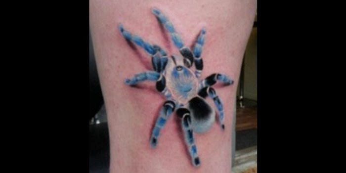 1024x768 3D Tattoo Designs : Wallpaper HD | 3D tats | Spider tattoo, Web