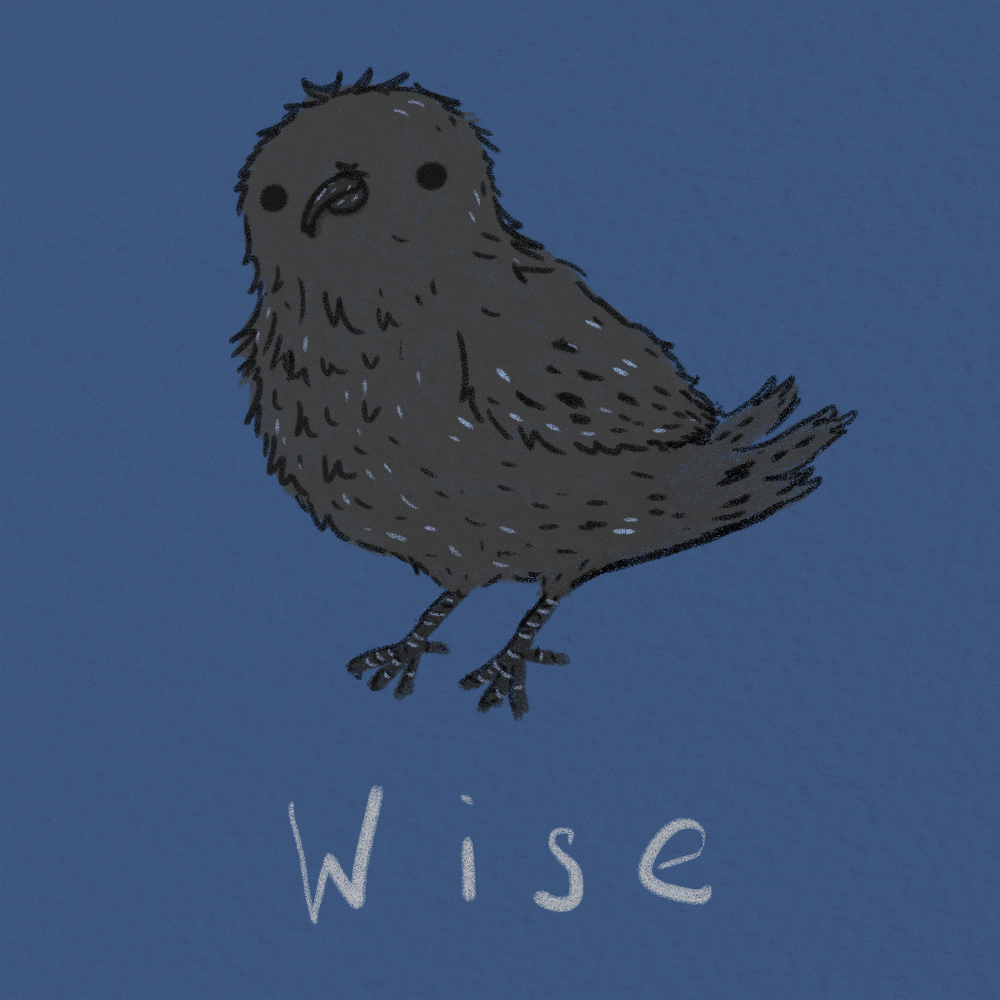 1000x1000 Animated gif about gif in Harry Potter by jess