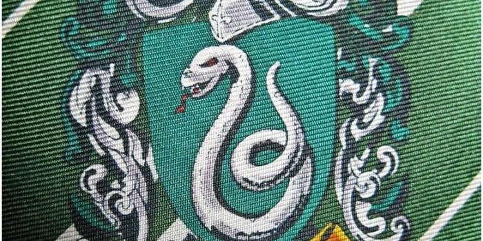 780x1038 Slytherin Quidditch Wallpaper | Free HD Wallpaper | Slytherin, Free