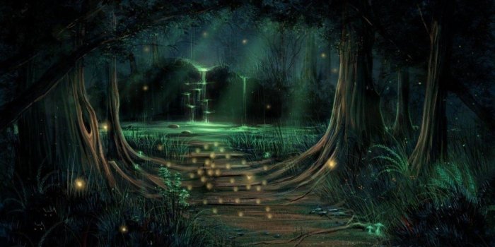 1920x1080 71+ Elven Forest Wallpapers on WallpaperPlay