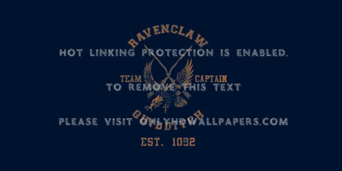 1366x800 harry potter Quidditch Hogwarts