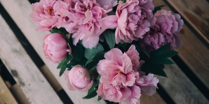5760x3840 Pink peony flowers bouquet HD wallpaper | Wallpaper Flare