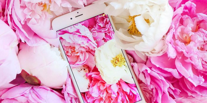 1400x2100 Pink Peonies Wallpaper - Peonies Wallpaper Iphone 6 (#899352) - HD