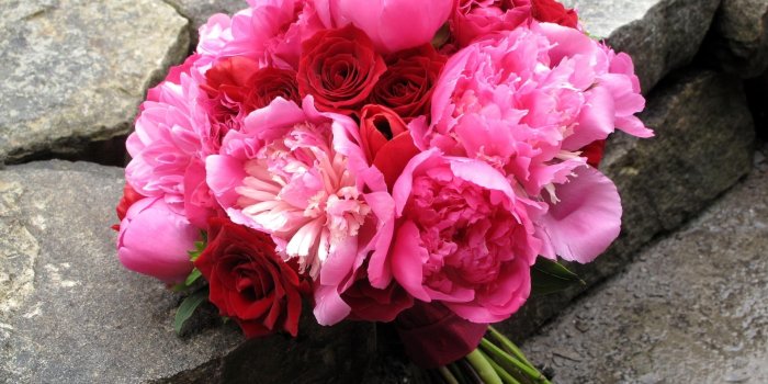 2560x1900 Pink Peony and red Rose flower bouquet HD wallpaper | Wallpaper Flare