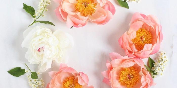 1080x1080 free pink peony desktop wallpapers Archives - JustineCelina