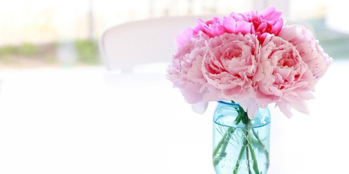 1920x1200 51+ Pink Peonies Wallpapers on WallpaperPlay