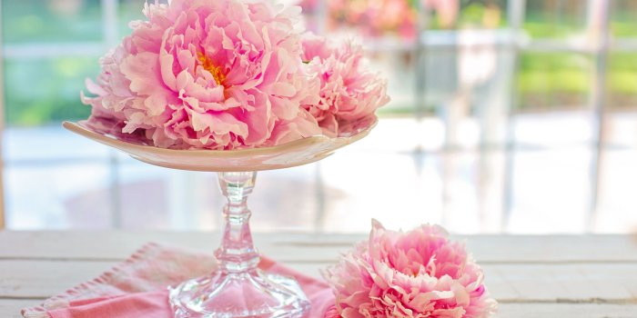 5120x3200 Pink Peonies ❤ 4K HD Desktop Wallpaper for 4K Ultra HD TV • Wide