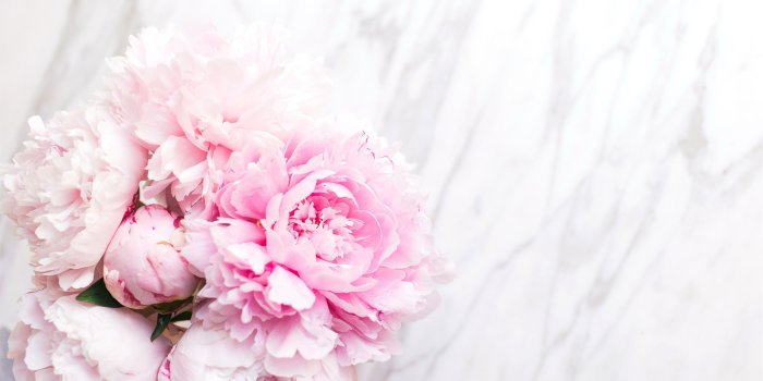 2880x1800 Download Wallpaper Flowers, Flowers, Bouquet, Peonies, Tender