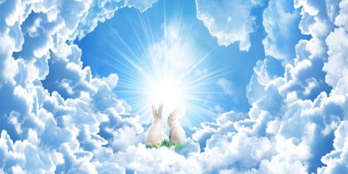 1000x800 US $13.86 37% OFF|Custom living room ceiling 3D wallpaper beautiful  romantic jade rabbit ceiling Blue sky and white clouds wall paper  Beibehang-in