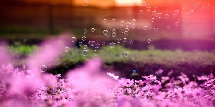 1920x1080 Bubbles and flowers HD Wallpaper