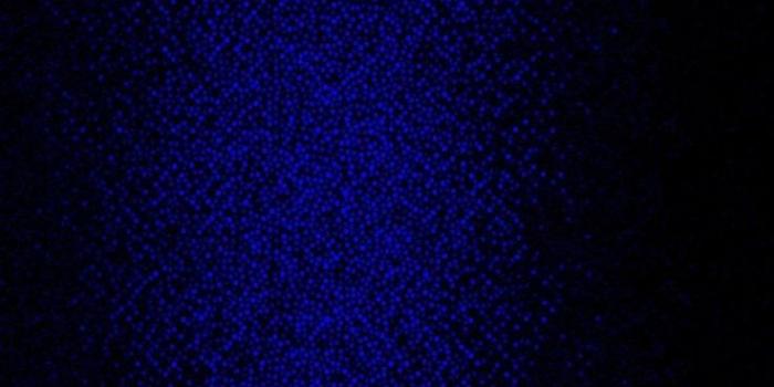 736x1306 Midnight Blue | Blue Hues in 2019 | Midnight blue color, Blue