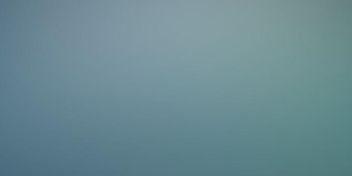 1500x2592 iPhone - Good wallpaper for gold 6 plus in midnight blue case