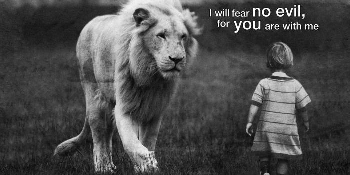 1920x1200 No Fear Quotes Wallpaper 10820 - Baltana