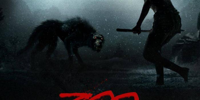 960x854 No Fear Wallpaper by Im__Awesome - 7f - Free on ZEDGE™