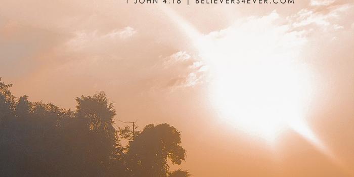 1440x2561 There is no fear in love mobile wallpaper - Believers4ever.com