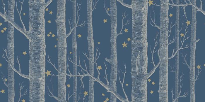 2124x1471 Woods Wallpaper Blue