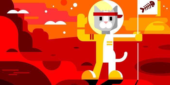 1920x1080 Get The Adventures of Ninja Cat - Microsoft Store