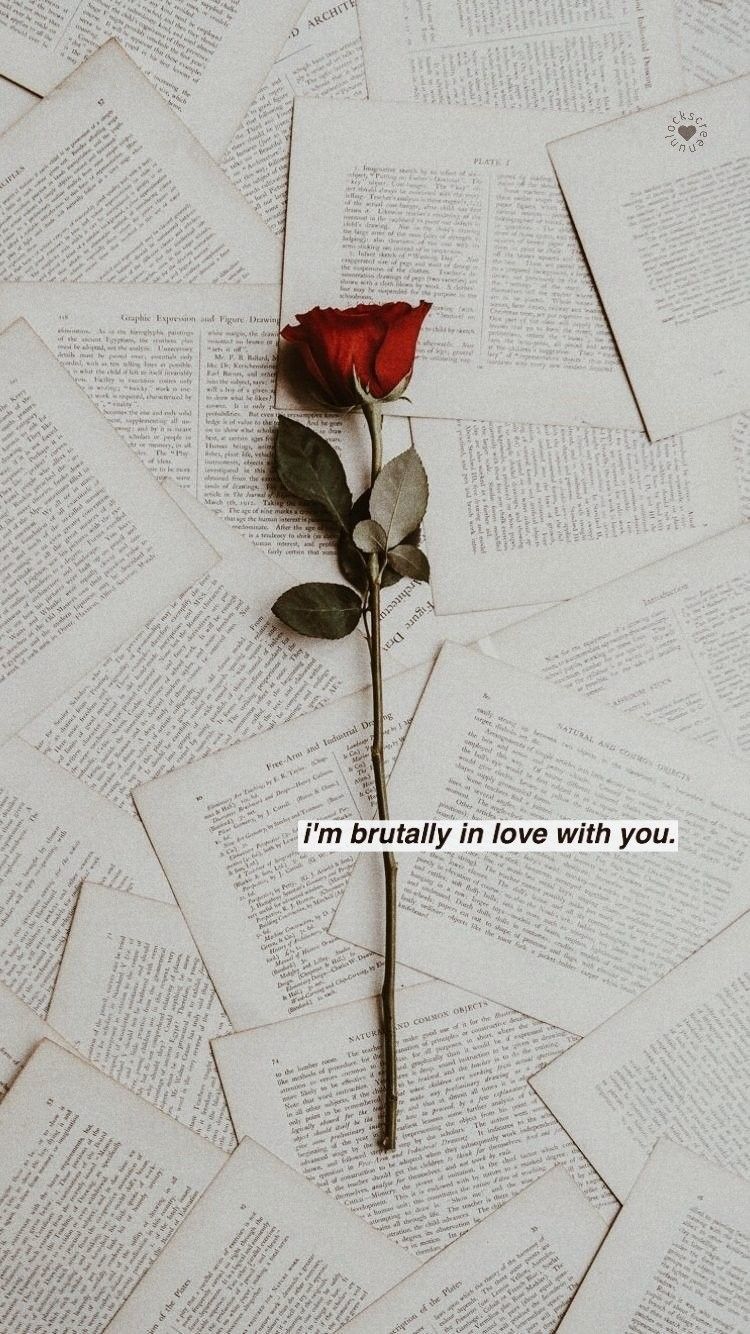 750x1334 Brutally.. you know na ? | f ♥ | Wallpaper quotes, Tumblr