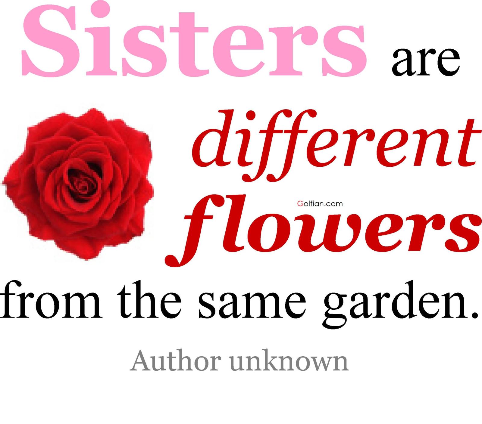 2572x2266 80+ Most Beautiful Sister Quotes – Best Sister Love Sayings Images