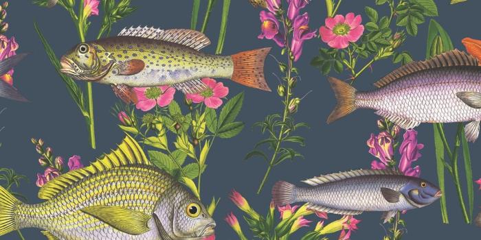 1200x1200 Lagoon Fish Wallpaper Midnight Blue World of Wallpaper 50150