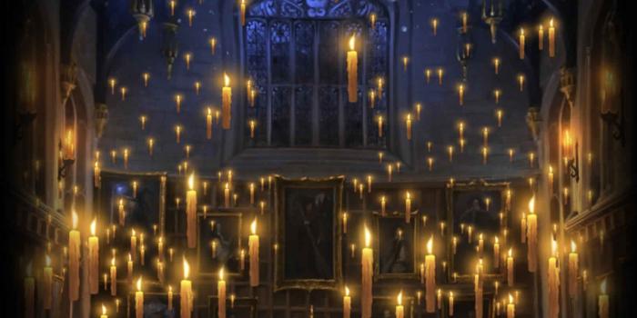 1620x1708 20 Harry Potter Halloween Decorations Ideas | Harry Potter | Harry