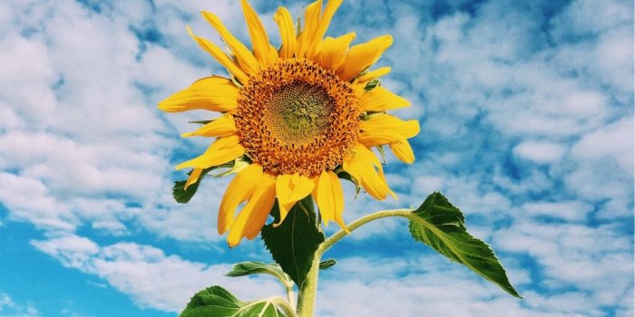 1024x768 VSCO - haleighsky