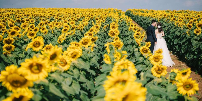 2000x1281 3098695 analog camera, beautiful flowers, couple walking, flower