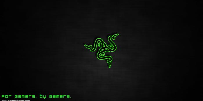 2048x1152 Black and green Razer gaming mouse, Razer, green HD wallpaper