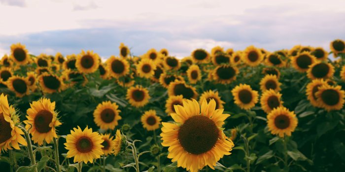 3840x2560 Elise Lubinsky - Photography