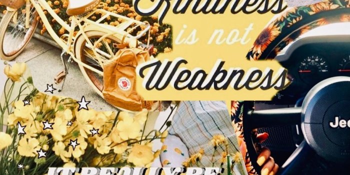 1014x1800 VSCO Wallpapers