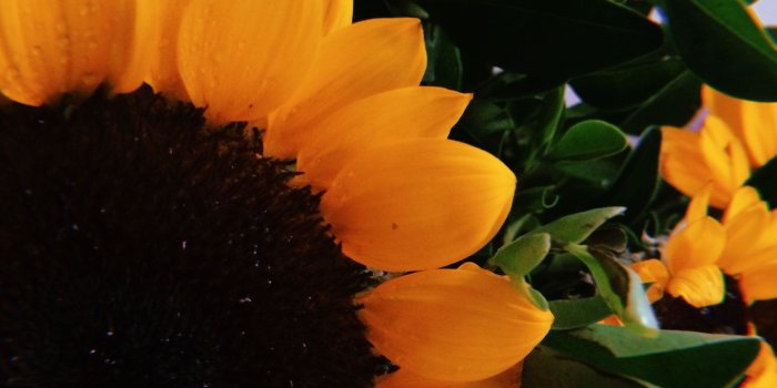 2448x3264 55443540 ß۞ɢʜᴏsᴛ〰〰ʀıᴅᴇʀ on