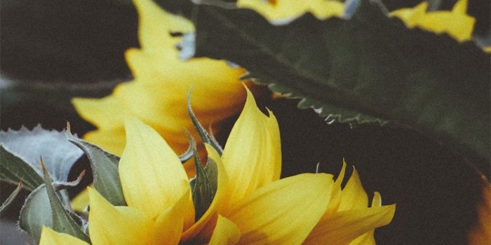 750x1334 Your Weekly Wednesday Wallpaper — The TEKSide Network