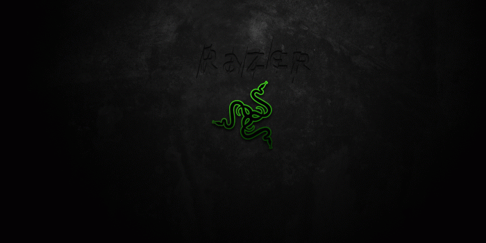 1920x1080 Razer Wallpaper 5 - 1920 X 1200