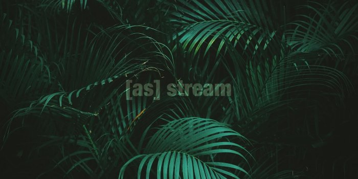 1920x1080 Adult Swim Streams