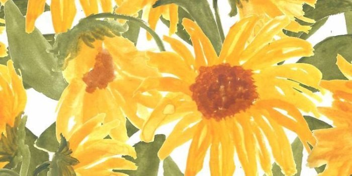 750x1334 Hippie Flower Wallpapers - Top Free Hippie Flower Backgrounds