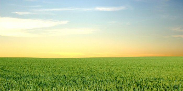 1920x1200 Daily Wallpaper: Green Fields and Blue Skies | I Like To Waste My Time