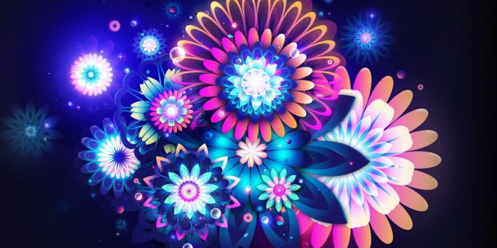 1244x700 Flowers neon color wallpaper | 1920x1080 | 45225 | WallpaperUP