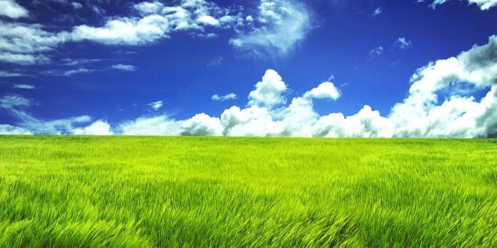2560x1600 Blue-Sky-and-Green-Field-2560x1600-wide-wallpapers.net -