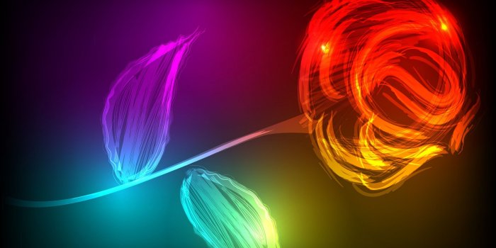 2560x1600 Wallpaper Rose, Neon colors, HD, Creative Graphics / Most Popular, #5071