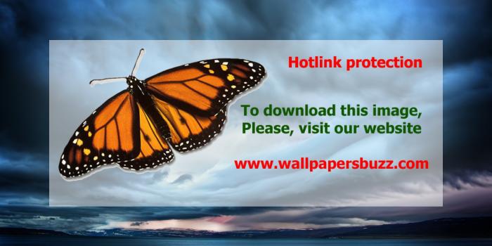 2560x1600 Sky before the storm HD Wallpaper