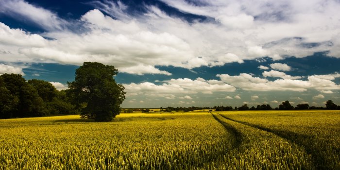 4608x3072 Green field and white clouds and blue sky in panoramic photography