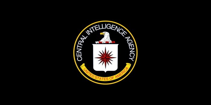 1600x1200 CIA Edited LOGO ❤ 4K HD Desktop Wallpaper for 4K Ultra HD TV