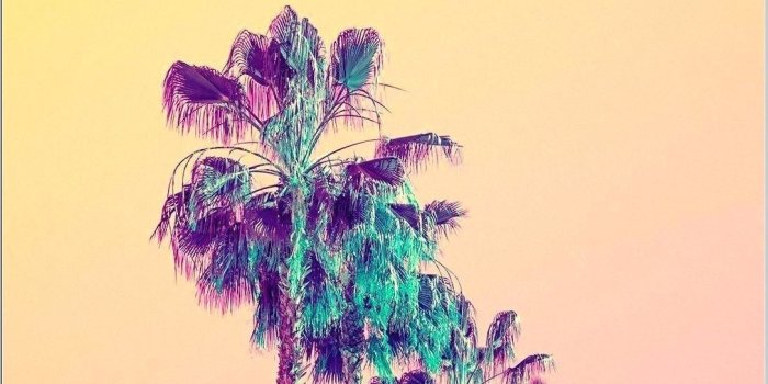 1089x1929 Yellow Popular Aesthetic Iphone Wallpaper | Dedemax