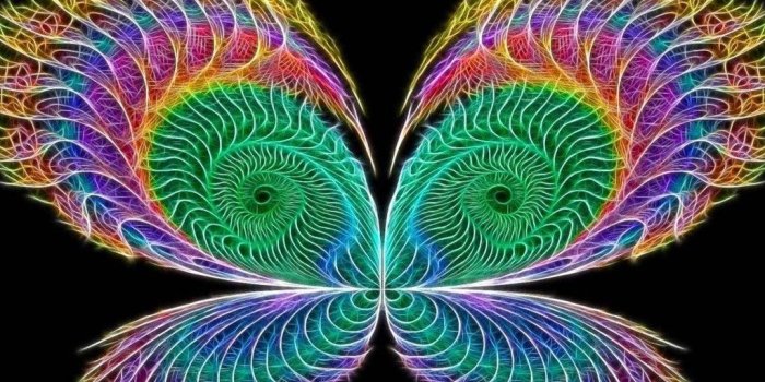 1024x768 Butterfly Neon Colors Rock Wallpapers (18996035) Fanpop Desktop