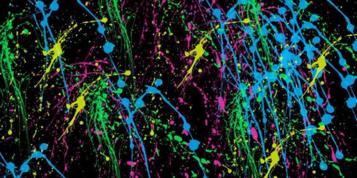 1299x866 Splatter Paint Neon Colors - Wallpapers Browse